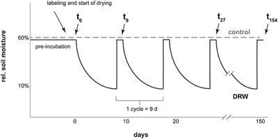 Soil Phosphorus Exchange as Affected by Drying-Rewetting of Three Soils From a Hawaiian Climatic Gradient